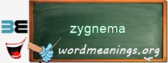 WordMeaning blackboard for zygnema